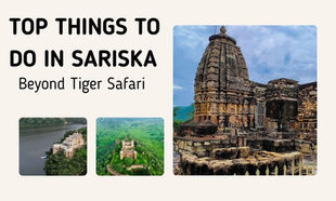 Top Things to Do in Sariska Beyond Tiger Safari