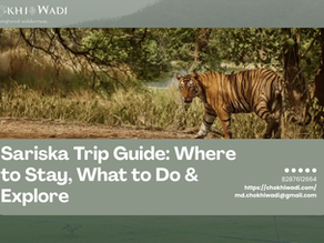 Sariska Trip Guide: Where to Stay, What to Do & Explore