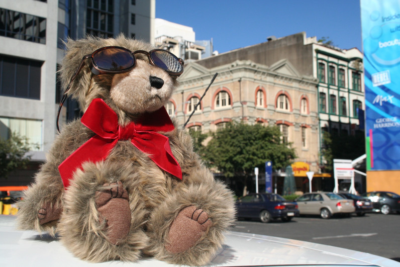 Soaking up the Auckland sun on departure day