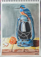 Lantern Kingfisher