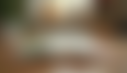 Exploring the Adventures of Twins Mac and Madi Stories