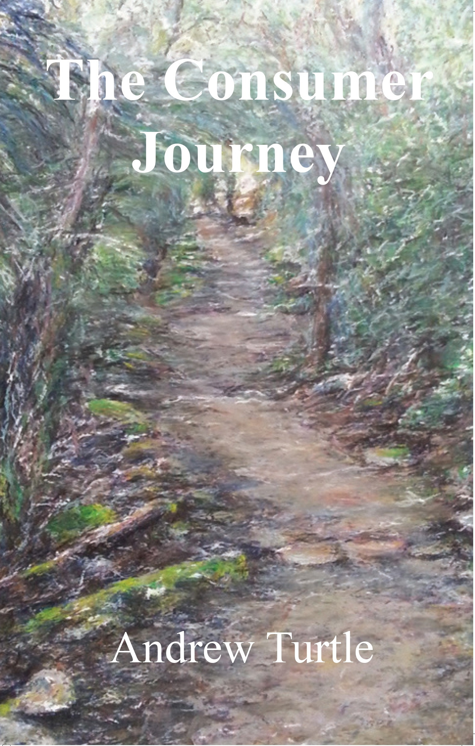 The Consumer Journey