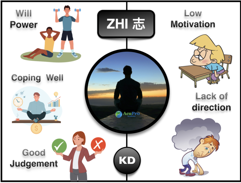 Zhi-in-TCM-5-spirits-768x583.png