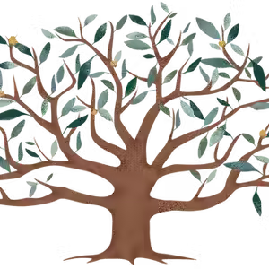 Turtle's Consolidated Services