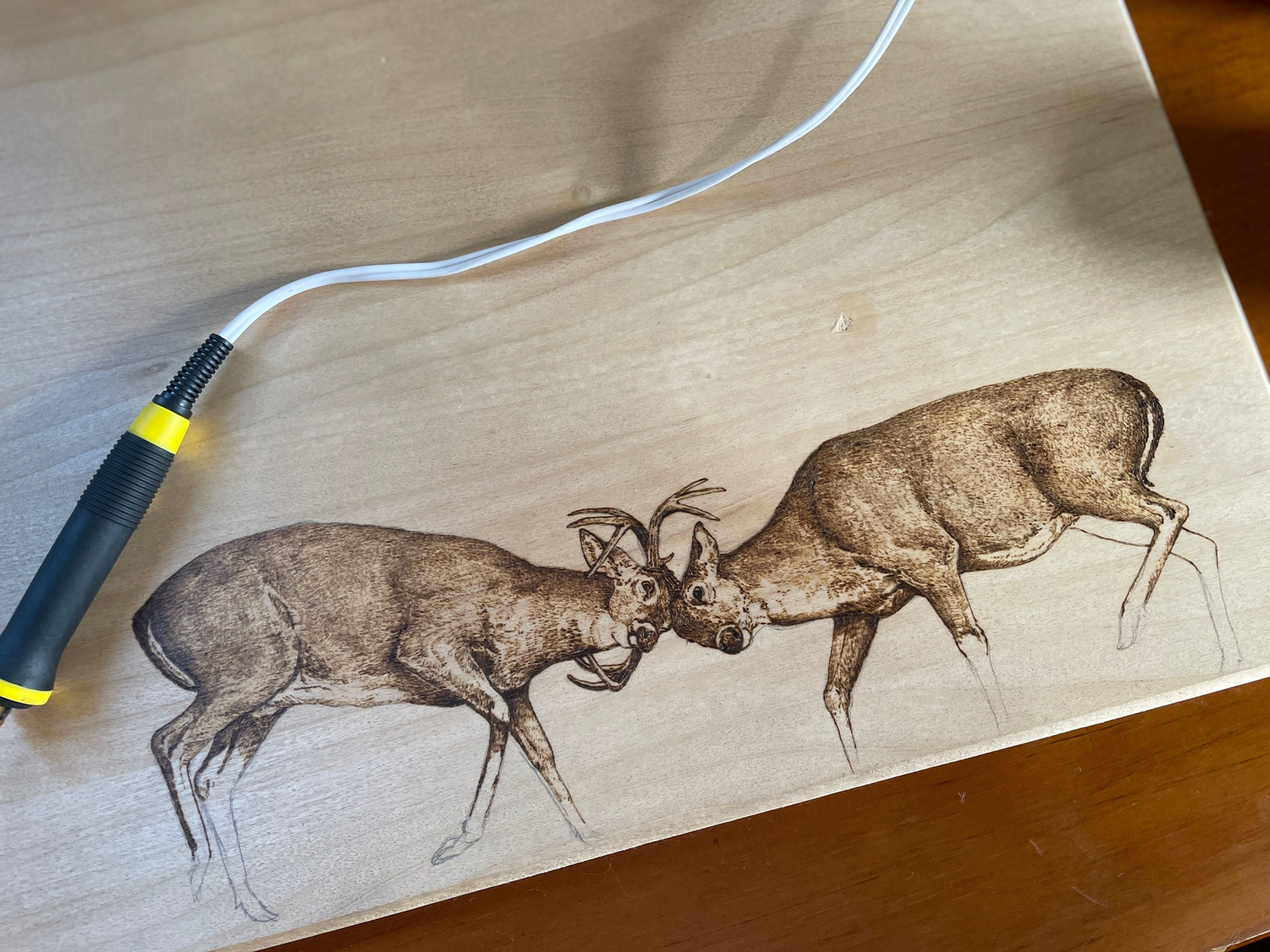 Whitetail Bucks Fighting Engraving