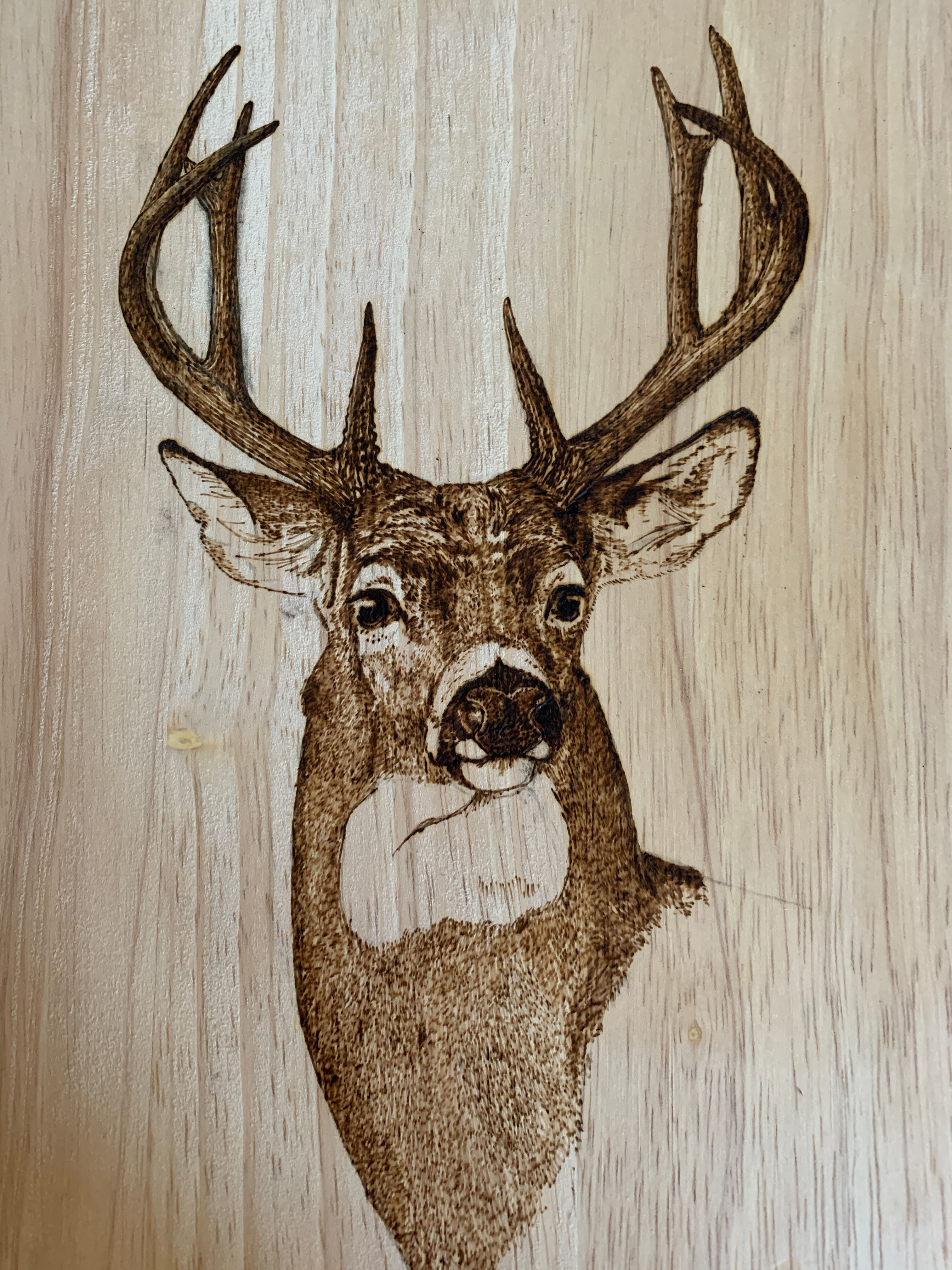Board with Whitetail Engraving