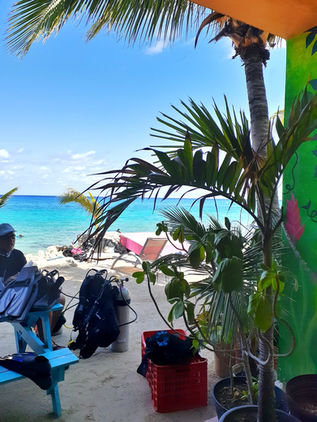 Scuba dive training at Tikila Beach in Cozumel 