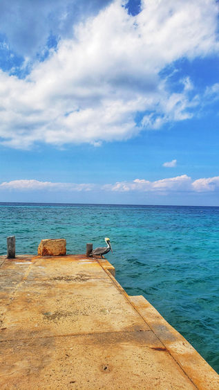 Scuba diving Pier in Cozumel 