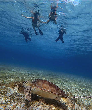 Best snorkeling in the coral reef Cozumel Mexico with best scuba shop Cozumel
