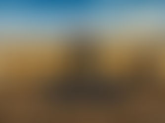 50 Shades of Black: The New Race Verification System
