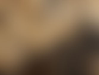 Loneliness in Relationships