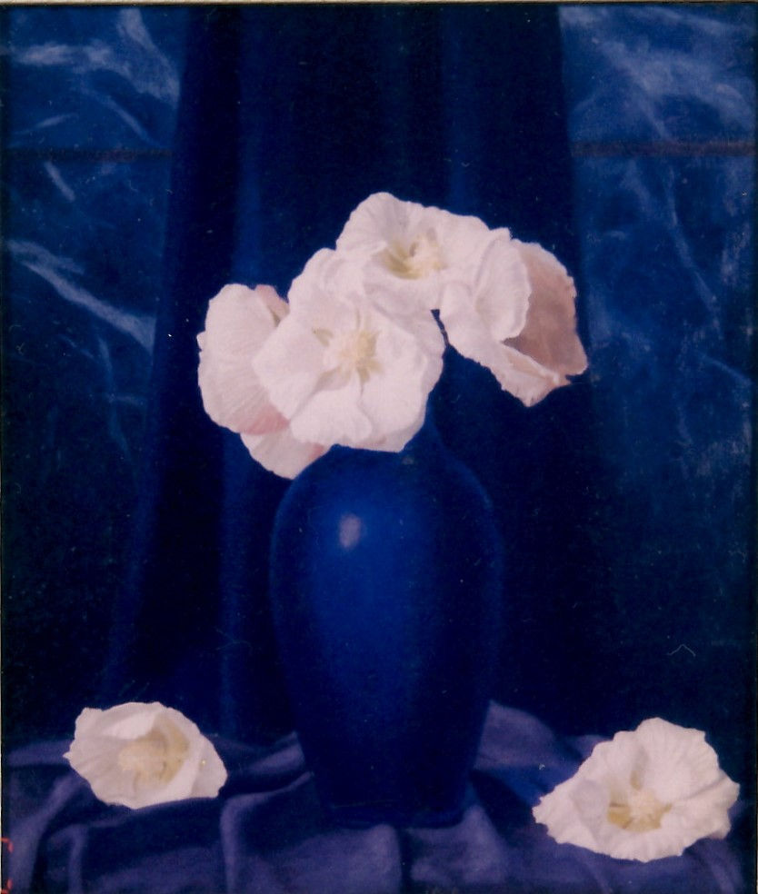 BLUE&WHITE