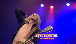 THE DEAD DAISIES