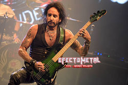THE DEAD DAISIES