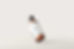 HERMETHICA-MOCKUP-MASALA-VATA-MEDIUM.jpg