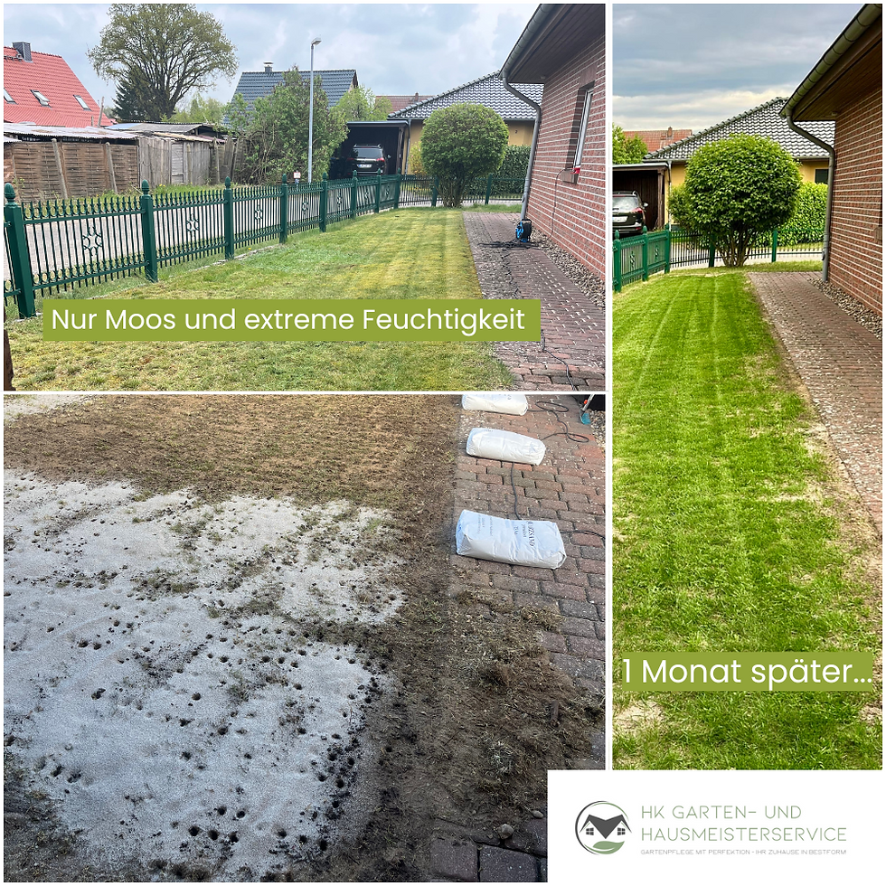 Rasenerneuerung