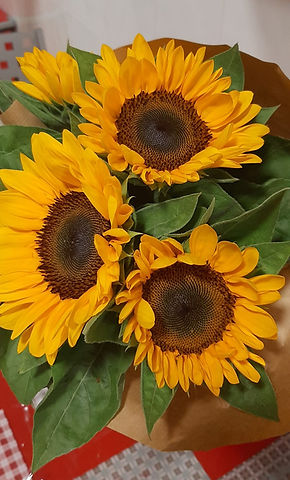 Imagen de WhatsApp 2025-10-10 a las 11.49.17_8b037800.jpg