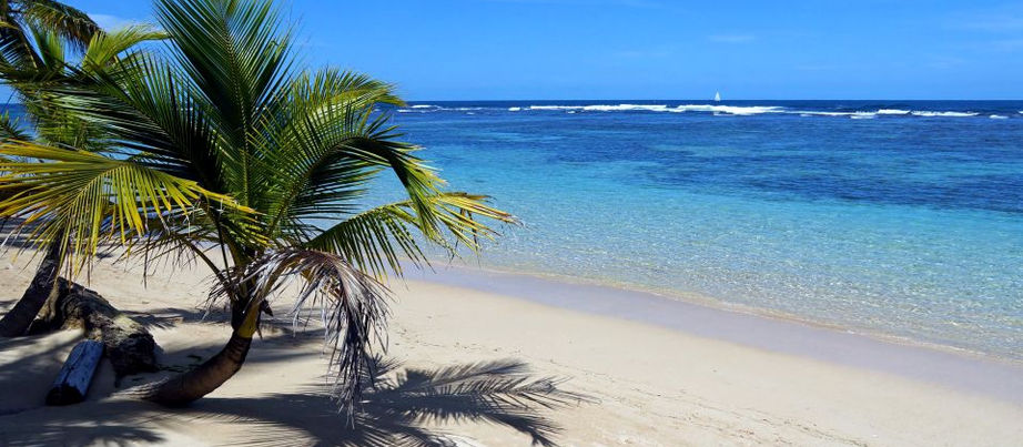 Ilha no Caribe oferece visto especial de moradia para pessoas se isolarem na natureza.
