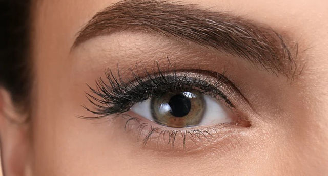 Eyebrow Tinting Calgary | Natural, Defined Brows | Lavoom Salon