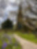 CCD - 00029-00029.jpg