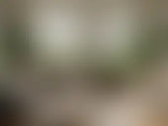 Welcome to Mirthful Maintenance