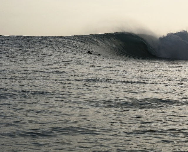 Jim Banks Surfboards