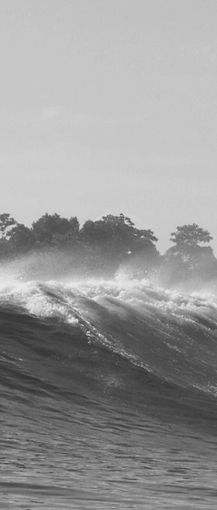 Fins | Jim Banks Surfboards