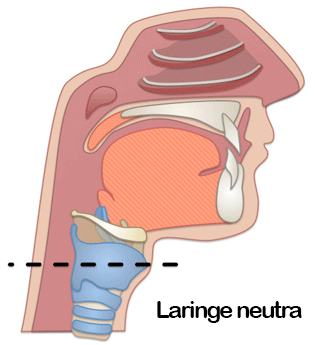 Alturas laringe, garganta, tracto vocal