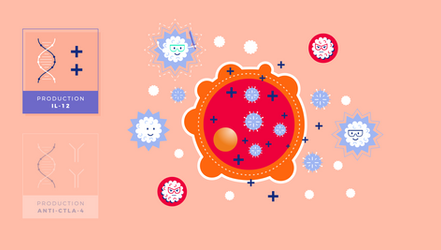 Illustration du processus d'action de la thérapie par vaccin oncolytique, les anticorps attaquent la tumeur