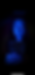 IMG_7033.PNG