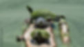 AdobeStock_792113137_Preview.jpeg