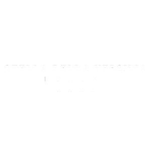 Stella della Versilia Hotel