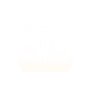 Masseria Gianna Forte dei Marmi