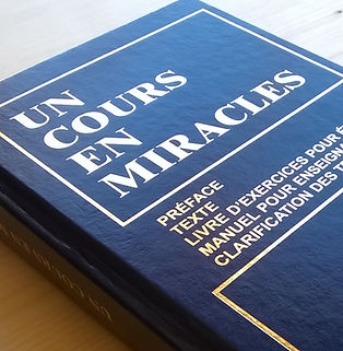 Galérie page accueil livre 4.jpg