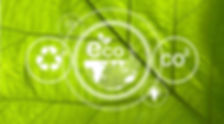 green-leaf-with-word-eco-it.jpeg