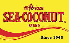 New Brand Logo for Marketing Purposes - Singapore_edited.jpg