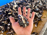 S__50683954_0.jpg