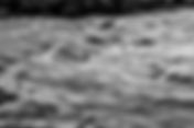 Låg beredskap – trots stor oro för fler framtida extremhändelser