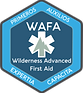 Wilderness Advance First Aid