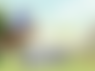 Ant attracted by EFNs defending a philodendron from pests and herbivores.