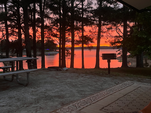 Pink and purple sunset seen through pine trees at a campsite on Lake Lanier GA.