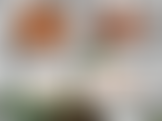 Birkin bag, Coach bag, and a Philodendron Birkin graphic.