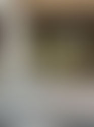 コピーライターが行政書士試験2025に挑戦