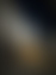 上諏訪駅前「イール亭 おおいし」うなぎ新年会