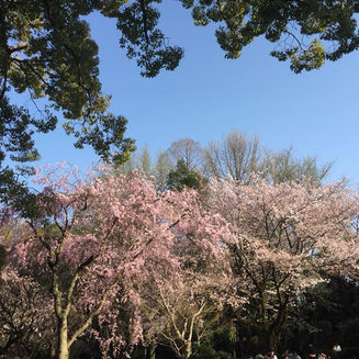 忙しかったな。2017年度末。