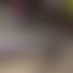 はじめての盂蘭盆会(うらぼんえ)休み