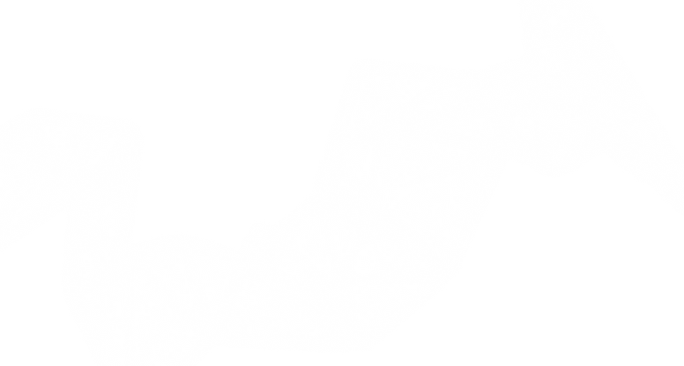 VRZONE