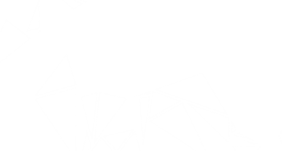 VRZONE