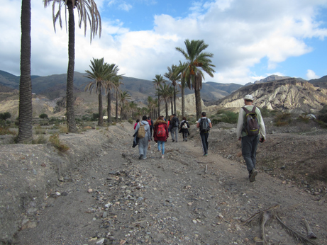 La Junta difunde los valores naturales de Paraje Natural Sierra Alhamilla a través del  proyecto Eco