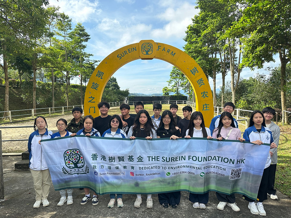 Horse Care Experience: Students gathered for a photo in front of the stables and learned to groom and feed the horses under professional guidance, fostering responsibility and empathy.